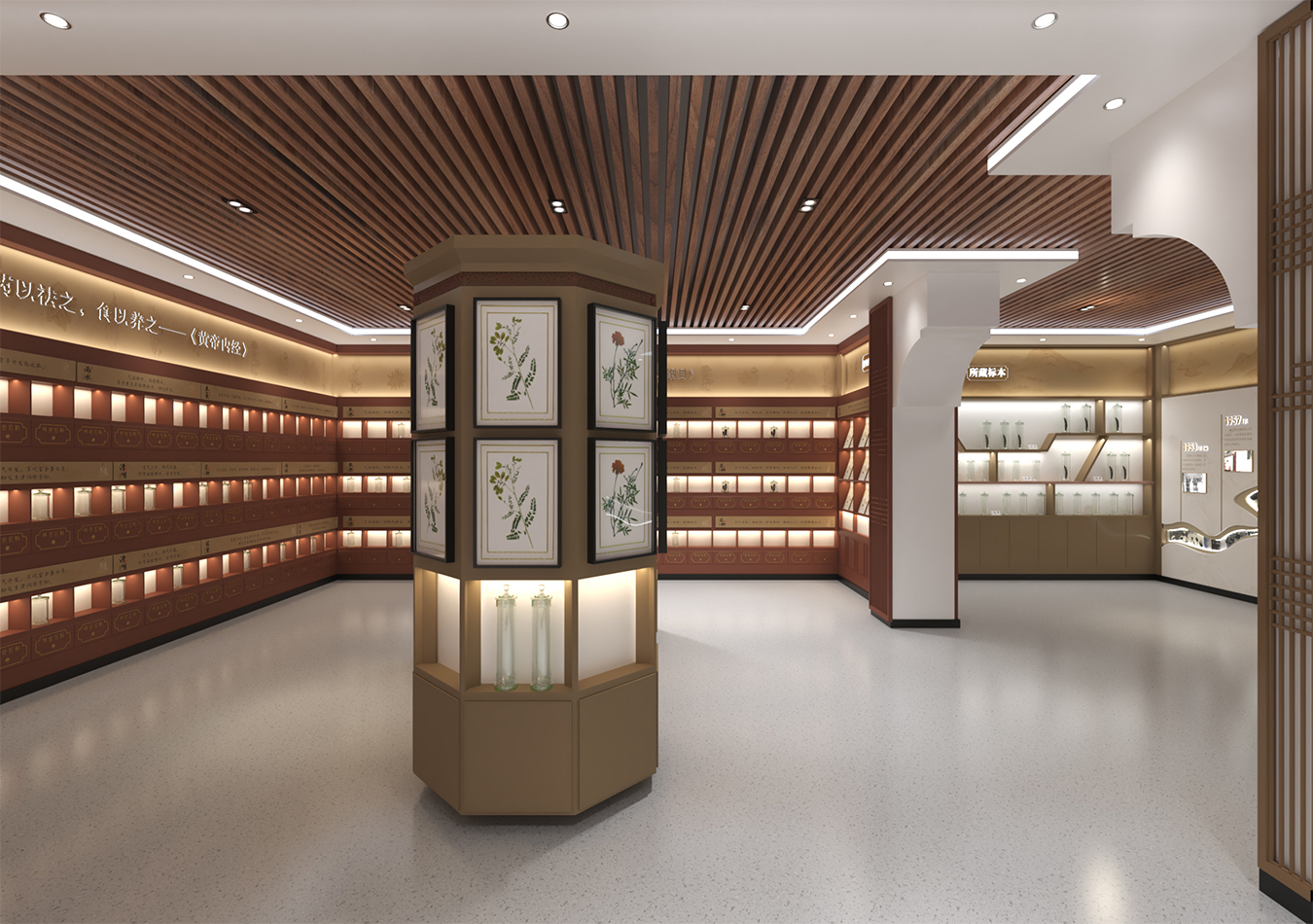 中药标本馆2.0｜从构想到图纸 创意逐步落地生根！
